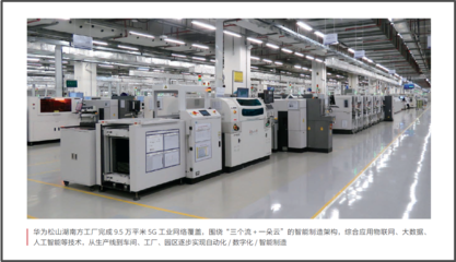 华为2020 “胡杨”报告——网络技术服务的坚守与创新